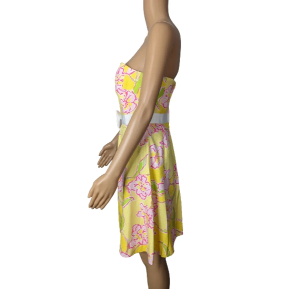 Lilly Pulitzer Amberly Dress 4 - Picture 7 of 12